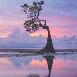 Cikmaz Sokaklar Song Lyrics And Music By Burcu Gunes Feat Eflatun Arranged By Demirbe On Smule Social Singing App Cikmaz Sokaklar Song Lyrics And Music By Burcu Gunes Feat Eflatun Arranged By Demirbe On Smule Social Singing App