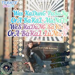Pas lagi sayang sayange pas lagi jeru jerune lirik