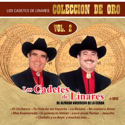 Llevatela pero lejos - Song Lyrics and Music by Cadetes De Linares ...