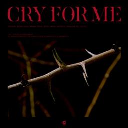 cry for me call of silence
