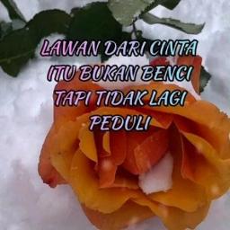 Akankah Kau Setia Song Lyrics And Music By D Cozt Band Arranged By Elruna On Smule Social Singing App