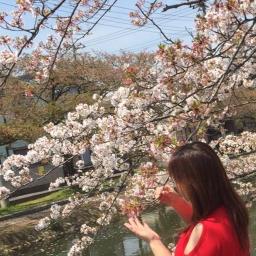 桜 Sakura 日本語 Romaji Song Lyrics And Music By コブクロkobukuro Arranged By 0 Nobu1003 0 On Smule Social Singing App