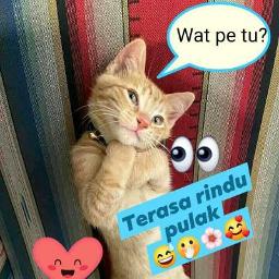 Biar Betul Song Lyrics And Music By Akar Arranged By Zyedee On Smule Social Singing App