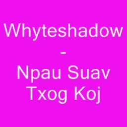 whyteshadow npau suav txog koj lyrics whyteshadow npau suav txog koj lyrics
