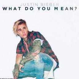 Justin Bieber - What Do You Mean (Lyrics) 