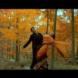 kabhi alvida naa kehna tumhi dekho naa kabhi alvida naa kehna tumhi dekho naa
