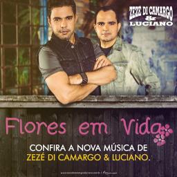 Flores em Vida — Zezé Di Camargo & Luciano