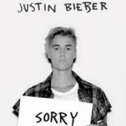 Download mp3 song justin bieber sorry 320 kbps