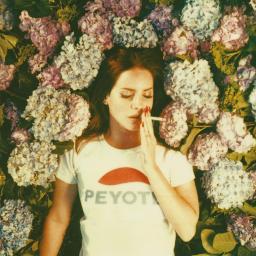 Salvatore Lyrics - Lana Del Rey