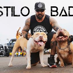 estilo-bad-song-lyrics-and-music-by-stifler-kallahari-feat-husky-lion