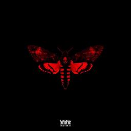 lil wayne ft drake with you mp3 download