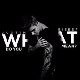 What Do You Mean? - Song Lyrics and Music by Justin Bieber arranged by ...