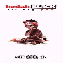KODAK BLACK  Lil kodak, Kodak black, Chill photos