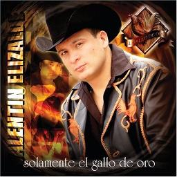 gracias por que volviste song lyrics and music by valentin elizalde arranged by abrittoc on smule social singing app