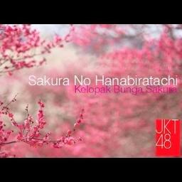 Sakura No Hanabiratachi Song Lyrics and Music by jkt48 arranged by
