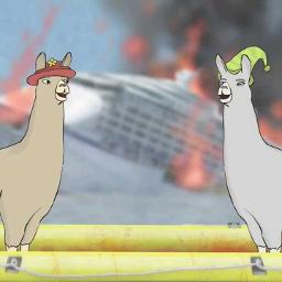 2 Llamas With Hats Part 2 Song Lyrics And Music By Filmcow Arranged By Zleepinq On Smule Social Singing App