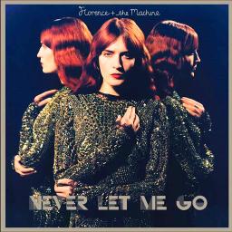 Never Let Me Go Song Lyrics And Music By Florence The Machine Arranged By Manu Oliveira On Smule Social Singing App