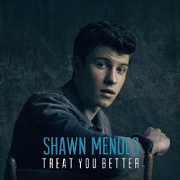 treat you better karaoke lyrics