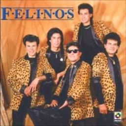 Los Felinos - Morena by EAR_maggy_GEP and MARI_088 on Smule: Social Singing  Karaoke App