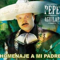 Por Una Mujer Casada - Song Lyrics and Music by Pepe Aguilar arranged by  ElLoboGris on Smule Social Singing app
