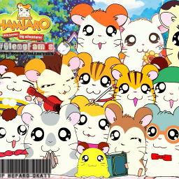Hamtaro Opening Song Olengfam S Song Lyrics And Music By Indonesia Hamtaro Opening Song Olengfam S Song Lyrics And Music By Indonesia
