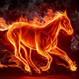 Les Maudits Mots D Amour Song Lyrics And Music By Le Rouge Et Le Noir Arranged By Morganelusignan On Smule Social Singing App