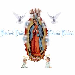  Buenos Dias Paloma Blanca - Letra de la canción y música de Varios arreglados por 0_MarySther_PonC en la aplicación Smule Social Singing