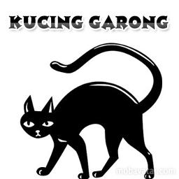 KUCING ______💖______ - Song Lyrics and Music by GARONG ______ 