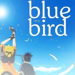 Blue Bird From Naruto Shippuden  song and lyrics by Zinnia Rojas   Spotify