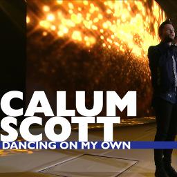 Calum Scott - Dancing On My Own (Tiësto Remix/Audio) 