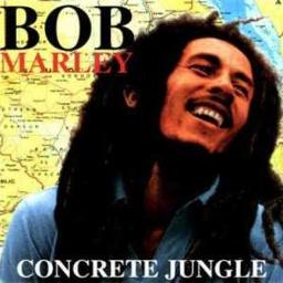 concrete jungle bob marley rakim