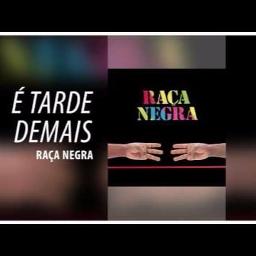 É Tarde Demais - song and lyrics by Raça Negra