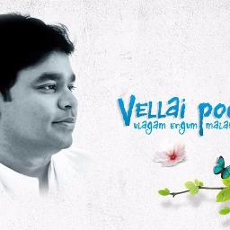 vellai pookal song from kannathil muthamittal free download vellai pookal song from kannathil muthamittal free download