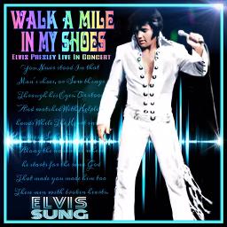 Walk A Mile In My Shoes - Song Lyrics and Music by Joe South arranged by  ElvisSung on Smule Social Singing app