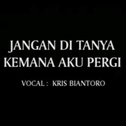 Jangan Ditanya Kemana Aku Pergi Song Lyrics And Music By Krisbiantoro Arranged By Hmstmrg On Smule Social Singing App