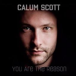 You Are The Reason Song Lyrics And Music By Calum Scott Arranged By Kenneth F On Smule Social Singing App