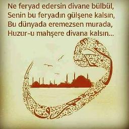 Ne Feryad Edersin Divane Bulbul Song Lyrics And Music By Zara Yavuz Bingol Arranged By Baynet67 On Smule Social Singing App