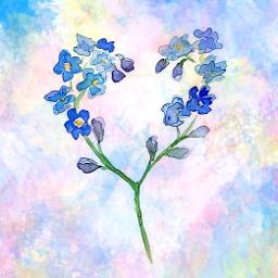 Forget-me-not - Song Lyrics and Music by 尾崎豊 Yutaka Ozaki