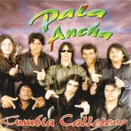 padre ejemplar - Song Lyrics and Music by Pala Ancha arranged by  hectorlopez172 on Smule Social Singing app