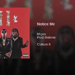 notice me lyrics migos