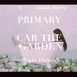 Night flower lyrics