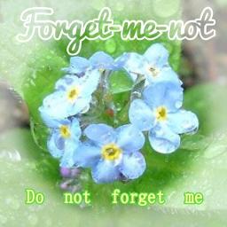 Forget Me Not ピアノ伴奏 Song Lyrics And Music By 尾崎豊 Arranged By Kaijyuu Gyao On Smule Social Singing App