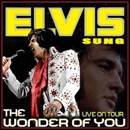 the wonder of you elvis presley song lyrics