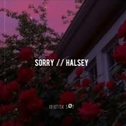 sorry halsey lyrics meaning