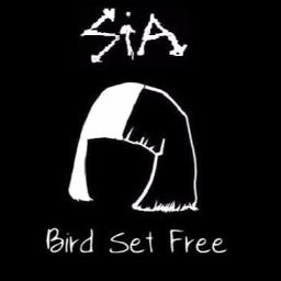 sia bird set free lyrics traduction