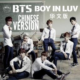 Boy In Luv Chinese Version Song Lyrics And Music By Bts Arranged By Taeyingg On Smule Social Singing App