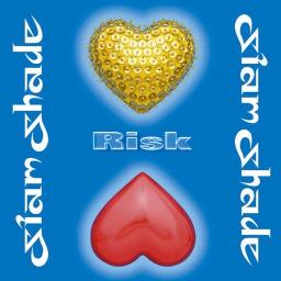 RISK (Romaji) - Song Lyrics and Music by Siam Shade arranged by