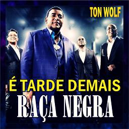 Raça Negra – Tarde Demais Lyrics