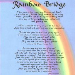 the rainbow bridge - Song Lyrics and Music by unknown author arranged by  joshfraim on Smule Social Singing app