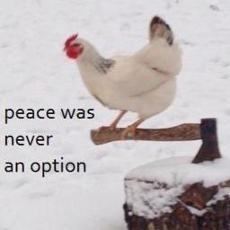 Watashi No R English Song Lyrics And Music By Rachie Arranged By Roxasthekirby On Smule Social Singing App